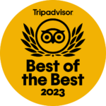 travelors award best of the best 2023 domus zamitello